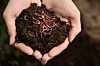 ChainDrop worm infiltrates npm supply chain, bypasses standard defenses