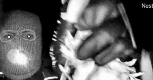 Investigators accessed Nest video via backend systems