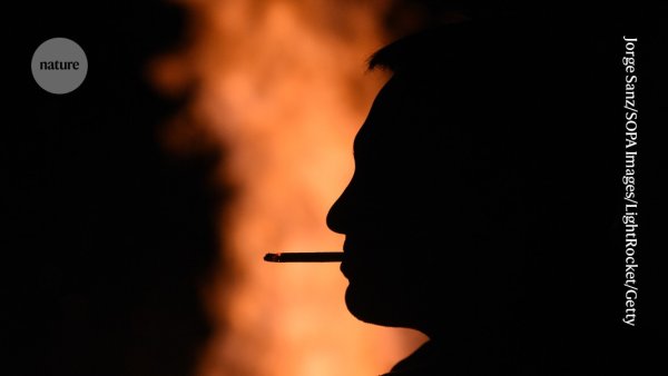 Study: Over a third of cancers linked to smoking and alcohol