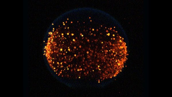 NASA to Conduct Fire Experiment on the Moon