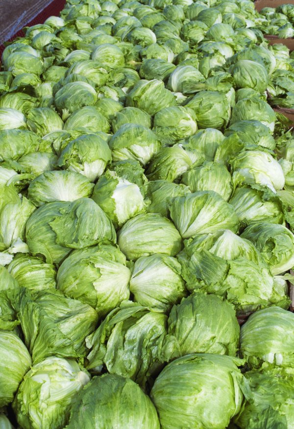Taylor Farms pulls iceberg lettuce from the US market after cyclosporiasis outbreak