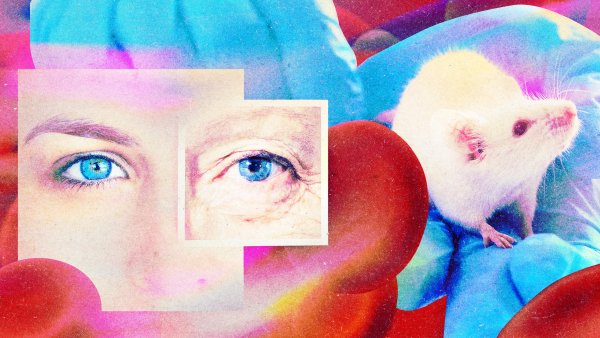 The Download: A Secretive Anti-Aging Drug and Joining Virtual Power Plants